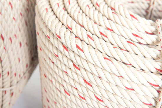 Multicolor PP Веревка Химическая гниение устойчива